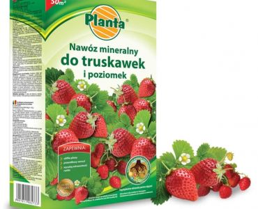 Тор за ягоди Planta